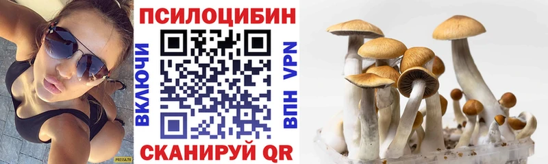 Галлюциногенные грибы Magic Shrooms  Тырныауз 